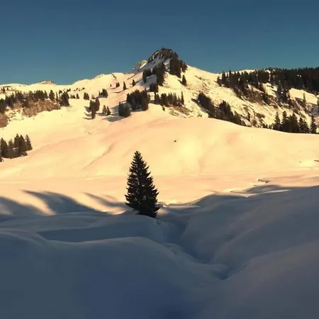 Lägenhet Witting Wenns